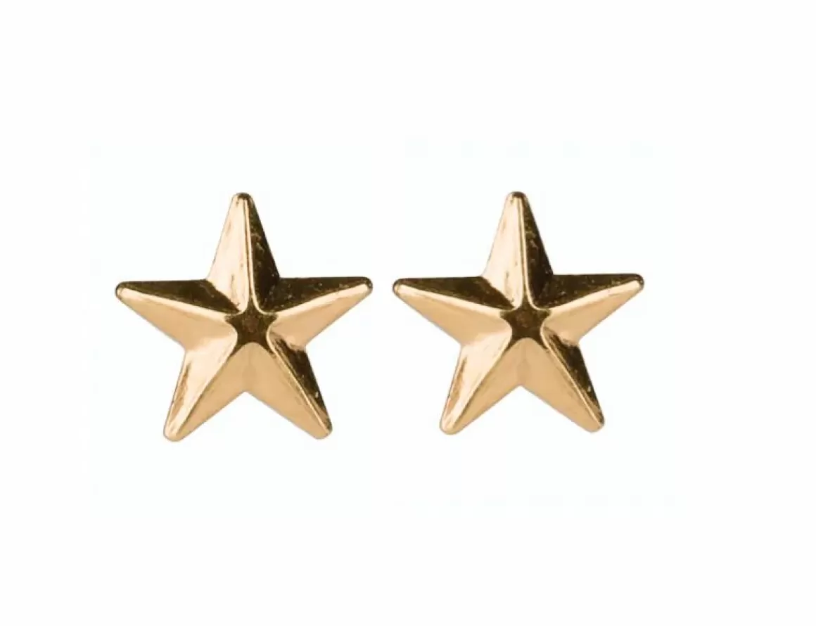 Damen Danefæ Pico Cph Star Studs Guldbelagt